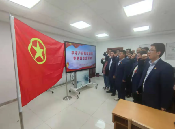 市產(chǎn)投集團(tuán)團(tuán)委召開2021年度專題組織生活會(huì)(圖5)